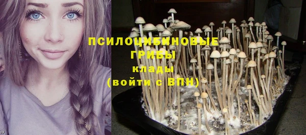 винт Нефтегорск
