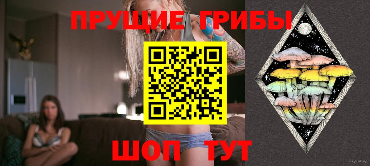 Псилоцибиновые грибы ЛСД Александров