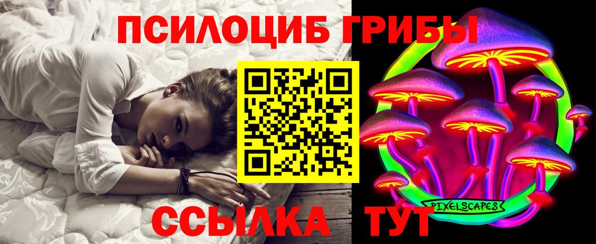 Александров  Псилоцибиновые грибы Psilocybine cubensis  Вход с VPN 